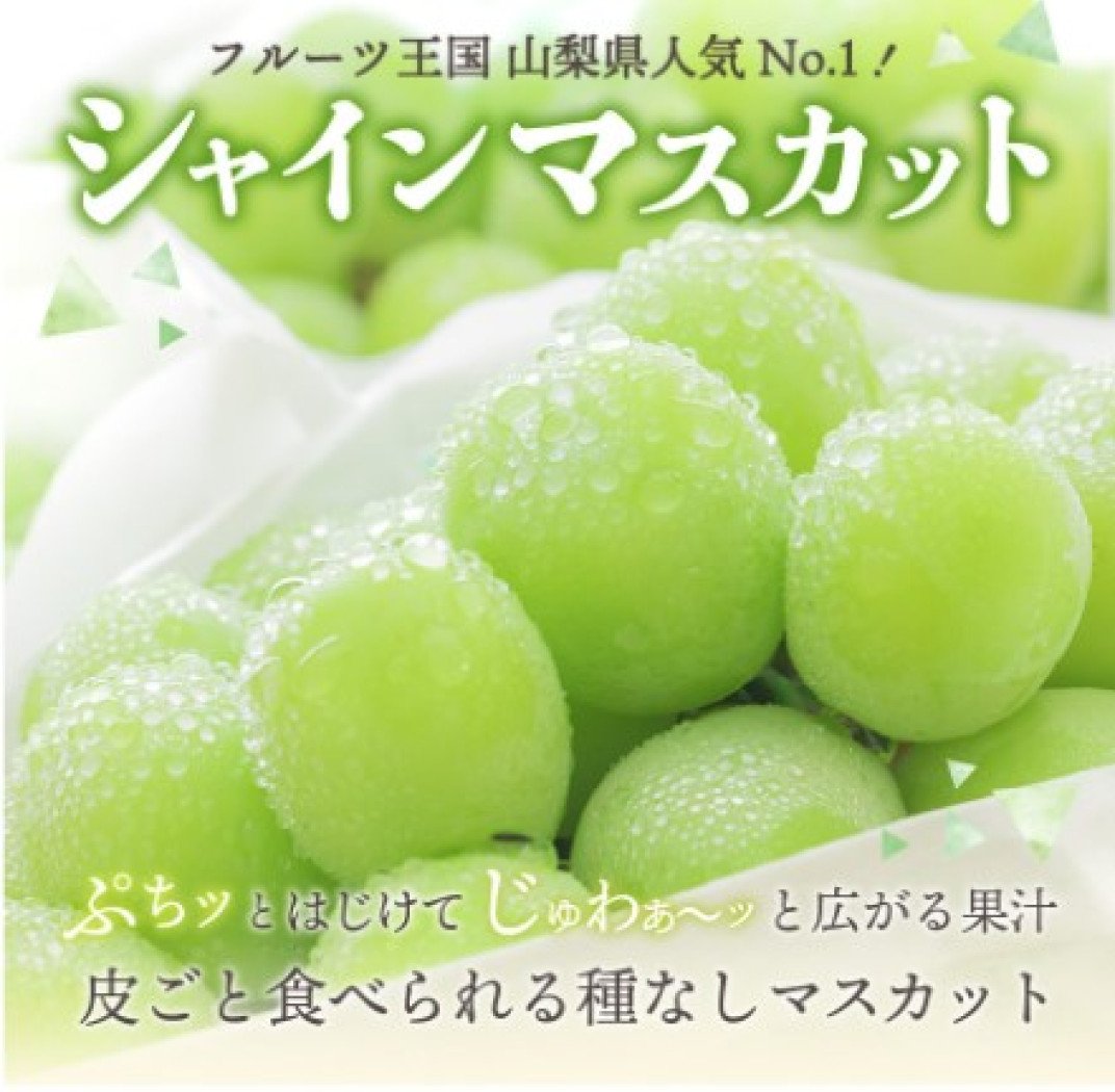 お礼の品共通バナー