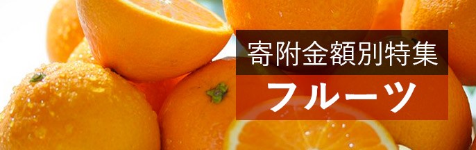 寄付金額別特集フルーツ