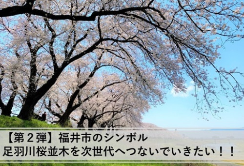 main_img