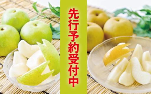 期間限定・数量限定！先行予約受付中です
