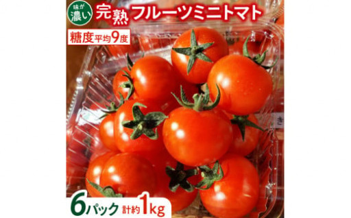 【朝どり直送】きむら農園の高濃度ミニトマト