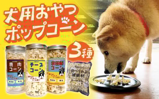 ご自宅用にも、プレゼント用にも！犬用おやつポップコーン！