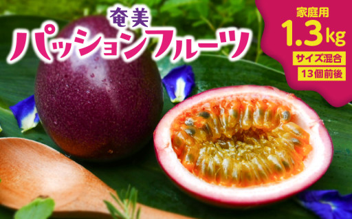 【2025年先行予約】奄美パッションフルーツ 1.3kg 家庭用（サイズ混合）（13個前後）