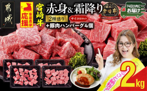 都城市より～宮崎牛サイコロステーキ2種セット500g×4パック+豚肉ハンバーグ100g×4個