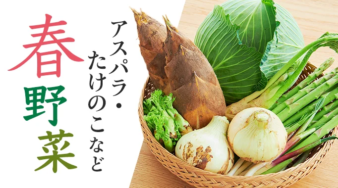 春野菜,アスパラ,新玉ねぎ,山菜,アスパラガス,たけのこ,春キャベツ,野菜,野菜類,新じゃが,新じゃがいも,菜の花,セロリ,エンドウ豆,スナップエンドウ,そら豆,タケノコ,筍,竹の子に関連する特集