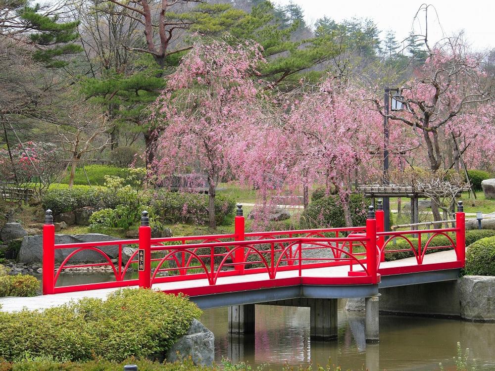 庭園(春イメージ)