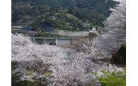 1．地域の活性化を推進する力を応援します。