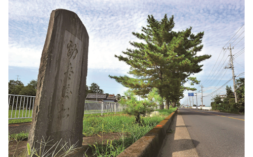 ■テーマ3　文化・伝統・歴史を守るための事業