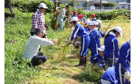 東藤島地区のまちづくりを応援する