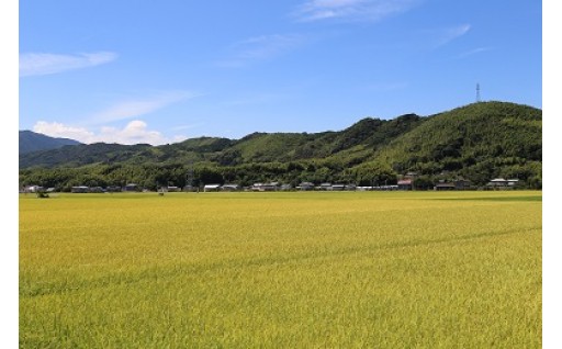 １	こまつしまのまちづくりを全面的に応援
