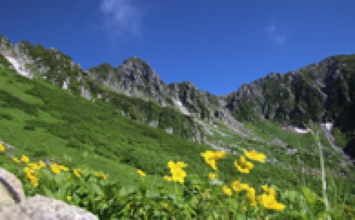 2　登山道や遊歩道、山小屋などの施設を設備し、山岳・山麓の環境を保全する事業（観光資源を保全し活用する事業）
