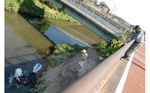 狐川流域まちづくりを応援する