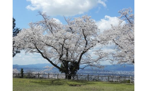 岡保地区のまちづくりを応援する