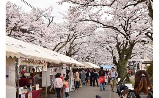 湊地区のまちづくりを応援する